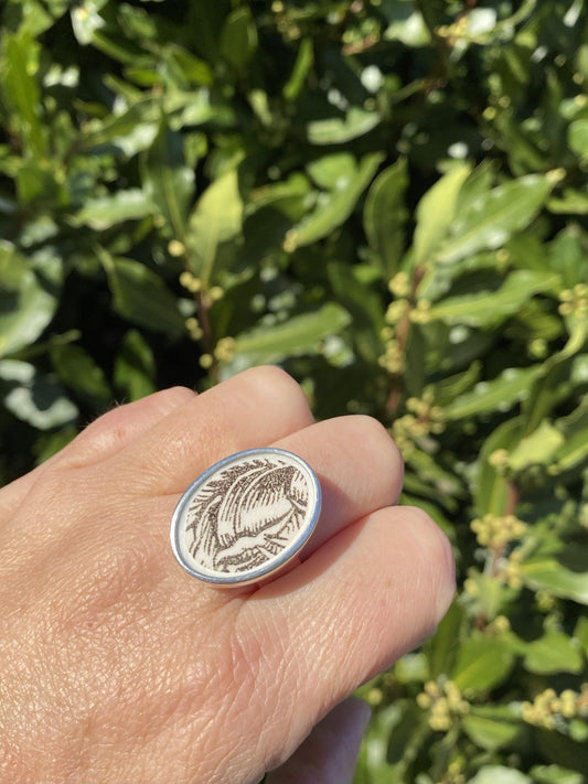 Bague assiette Marron argenté